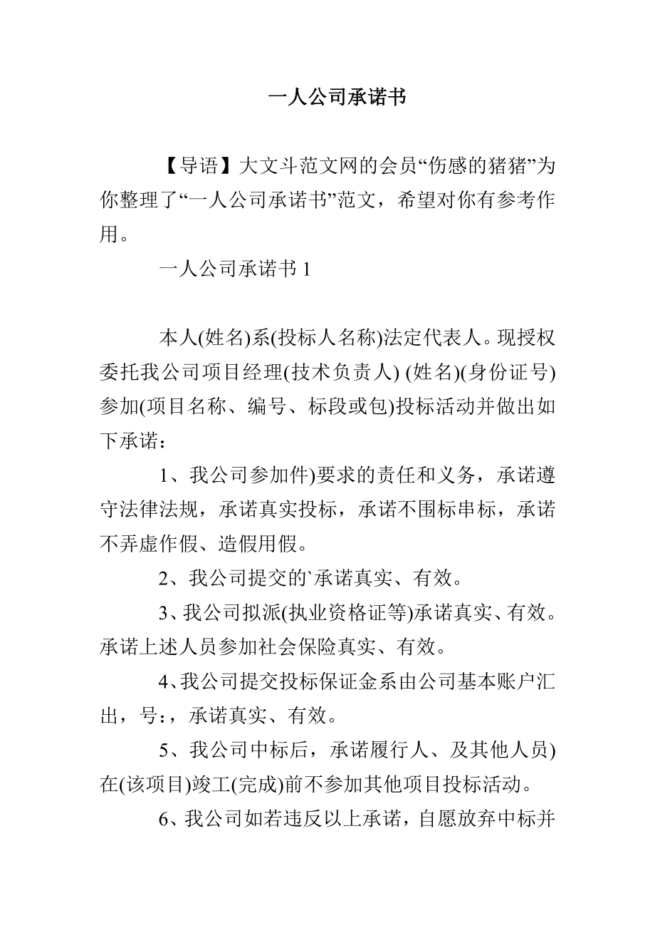 一人公司承诺书_第1页