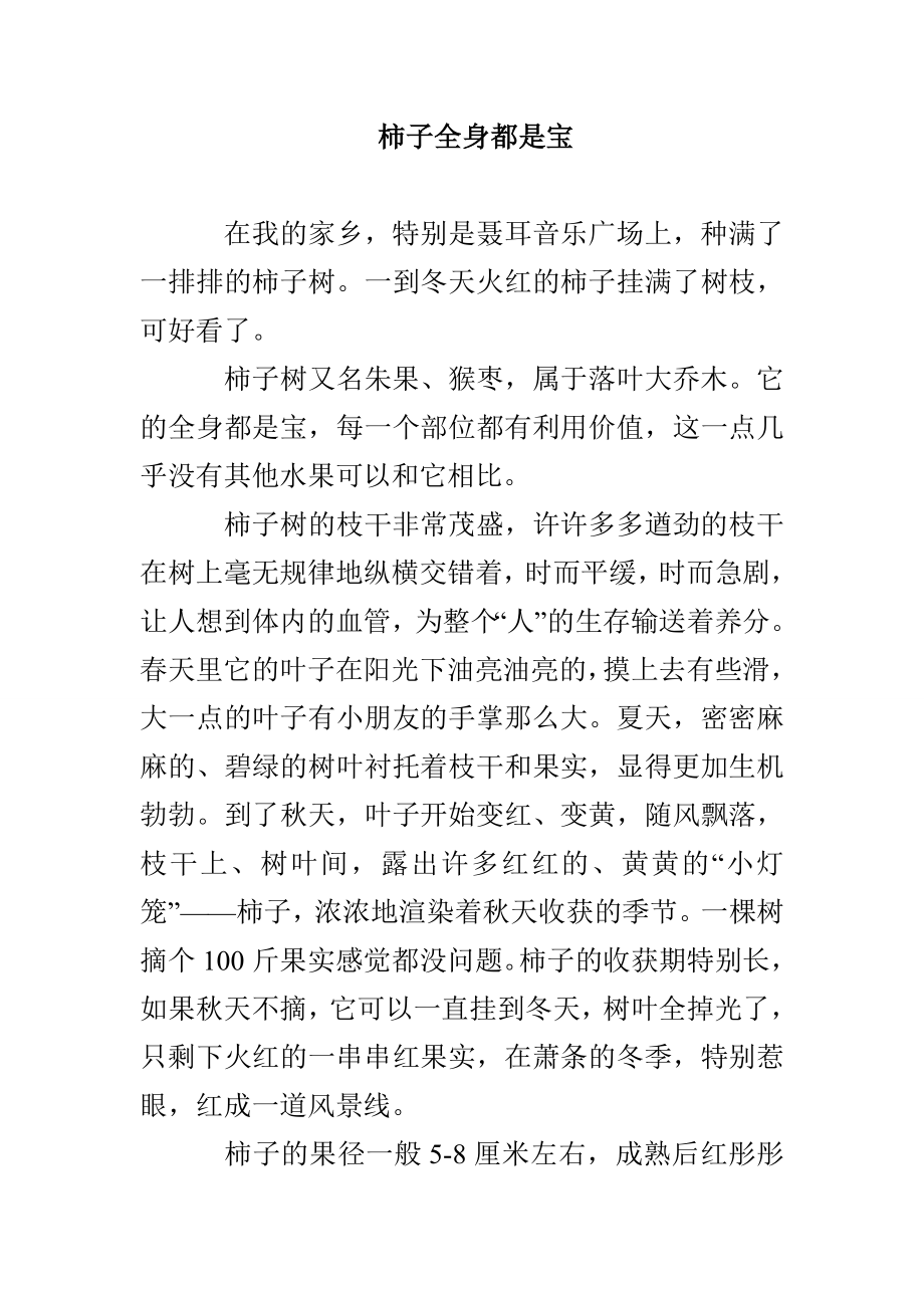 柿子全身都是宝_第1页
