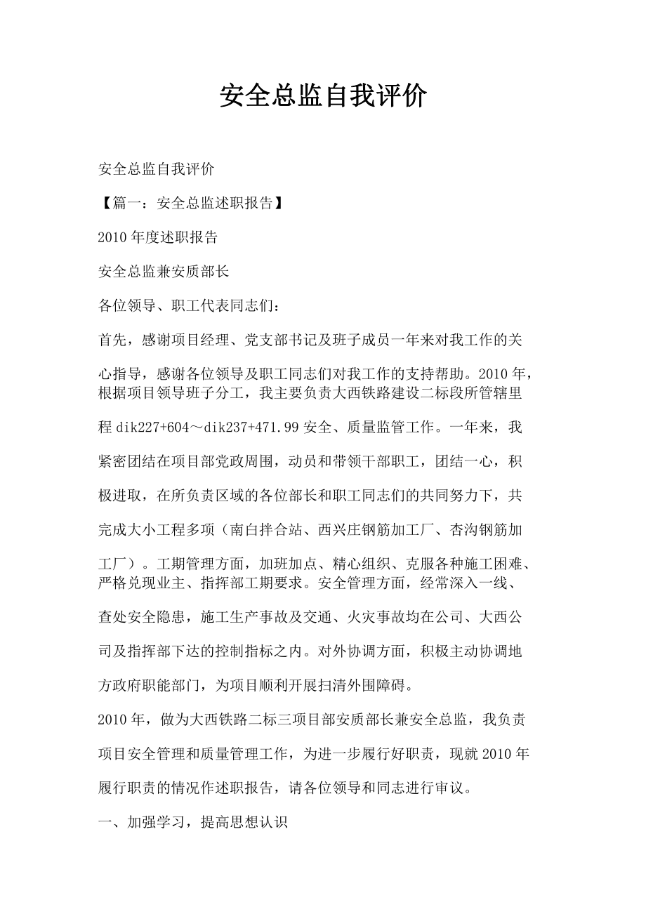 2022安全总监自我评价_第1页