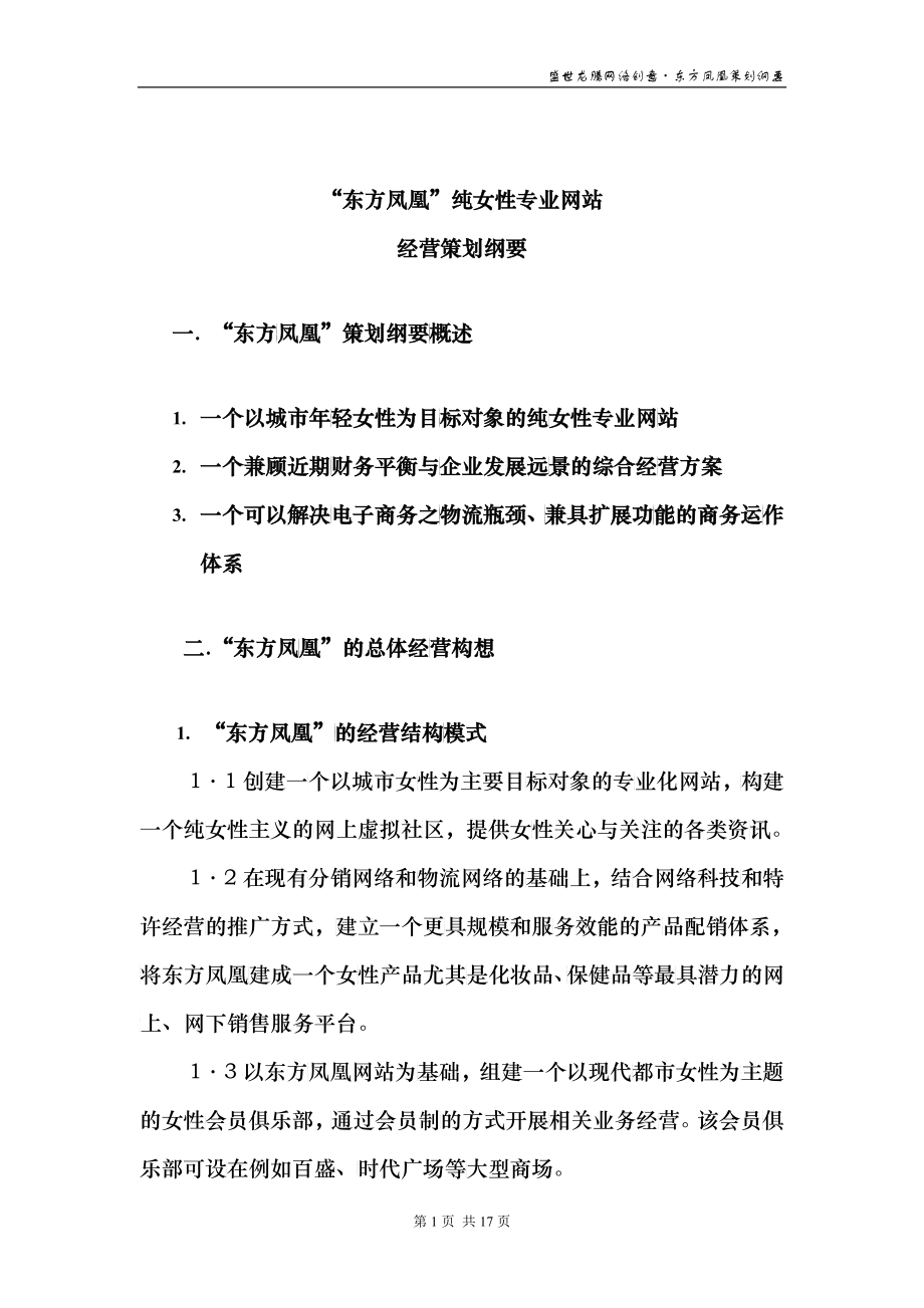 新“东方凤凰”网站经营策划_第1页