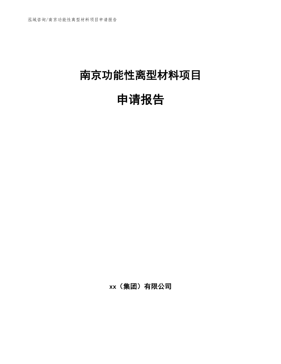 南京功能性离型材料项目申请报告_模板范本_第1页