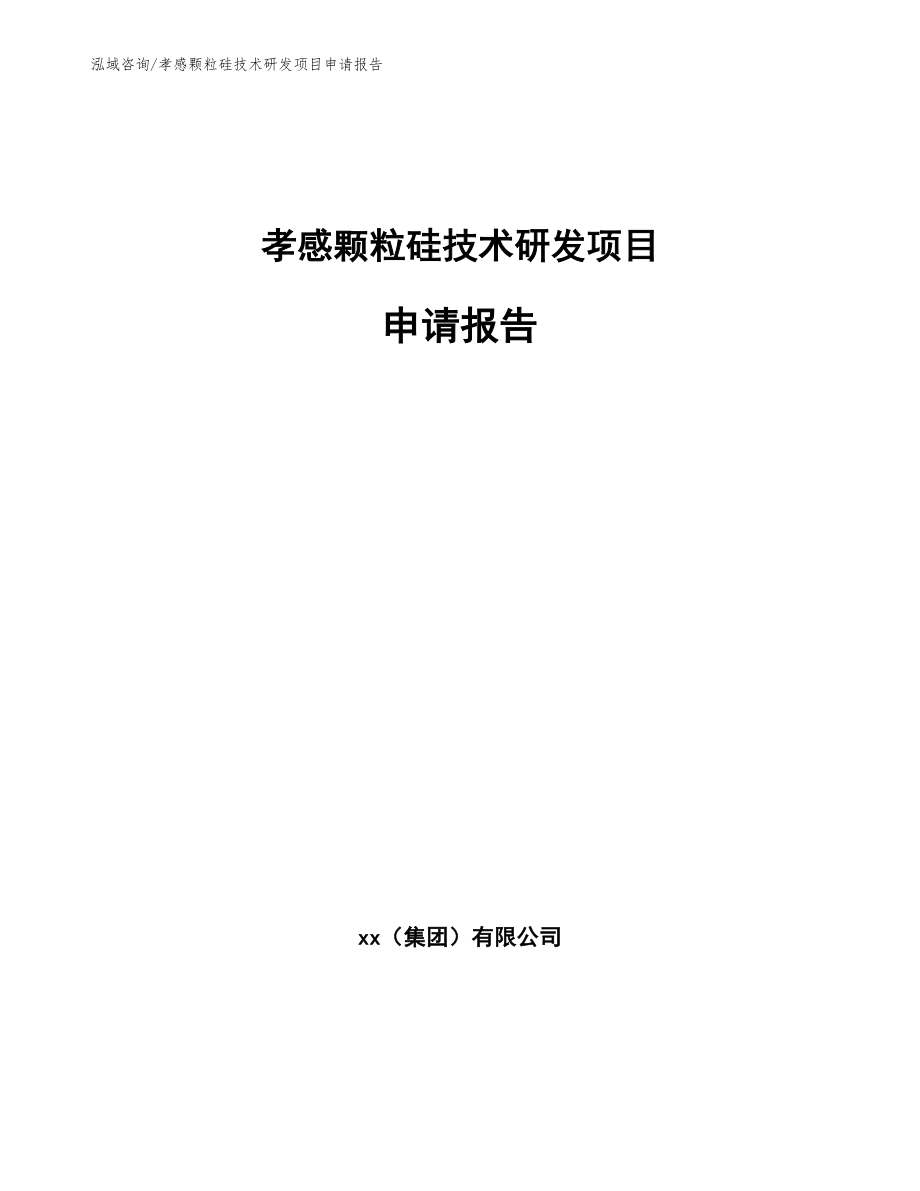 孝感颗粒硅技术研发项目申请报告【模板】_第1页