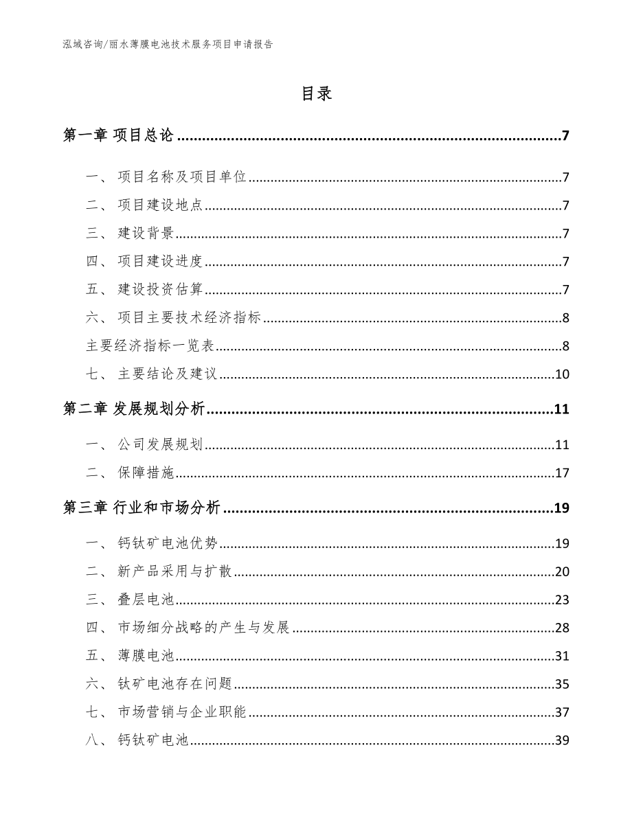 丽水薄膜电池技术服务项目申请报告_第1页
