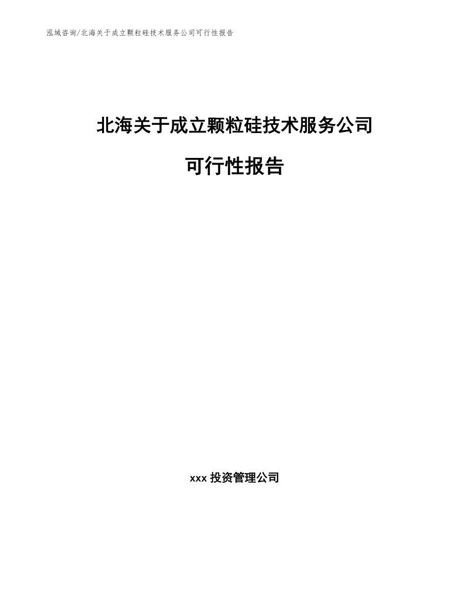 北海关于成立颗粒硅技术服务公司可行性报告（参考范文）_第1页