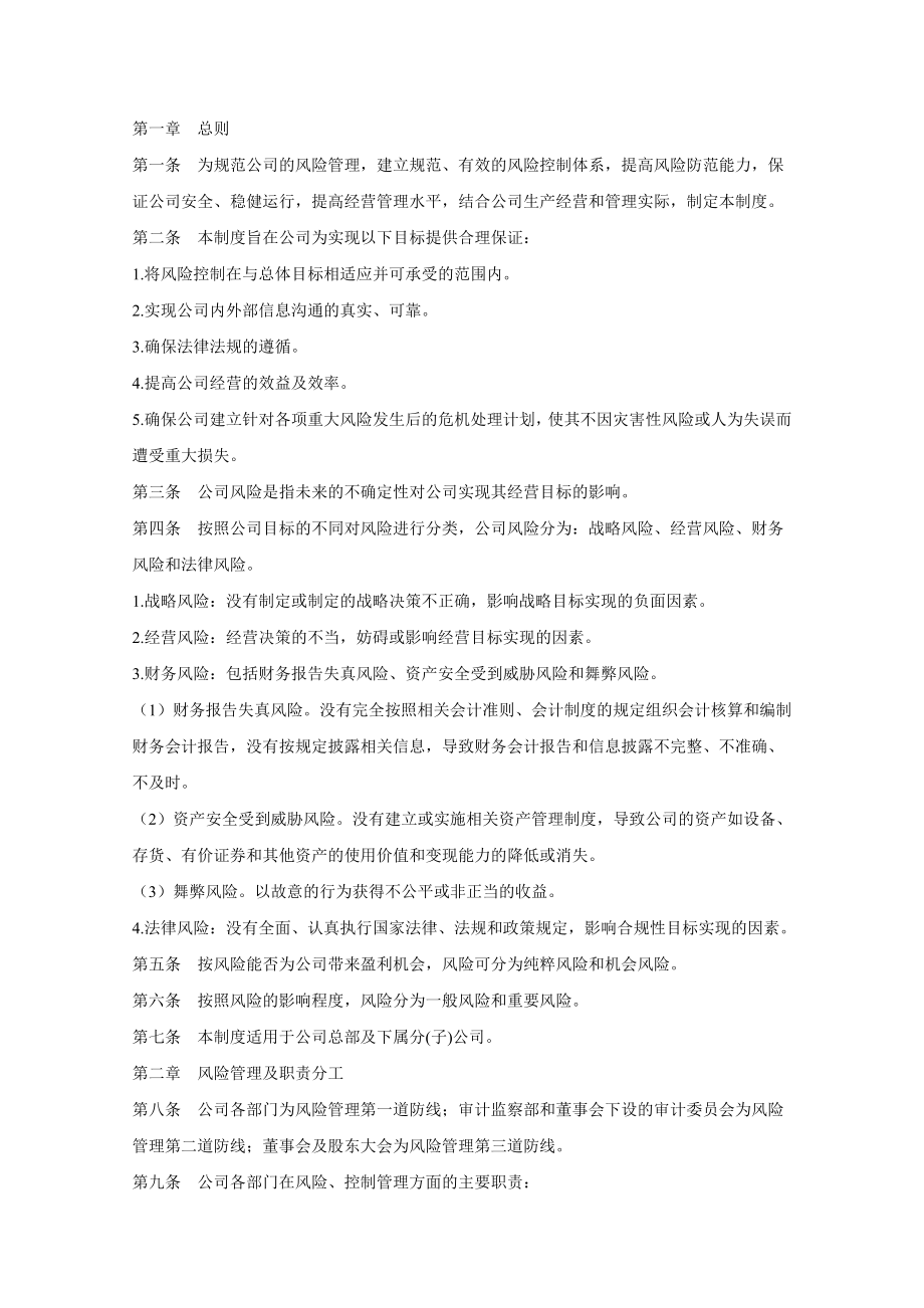 某公司风险管理制度_第1页