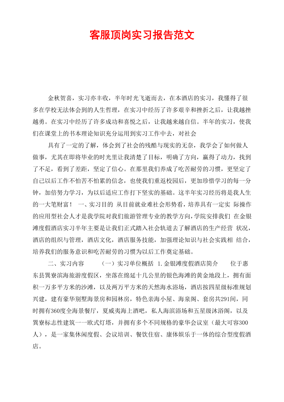 客服顶岗实习报告范文_第1页