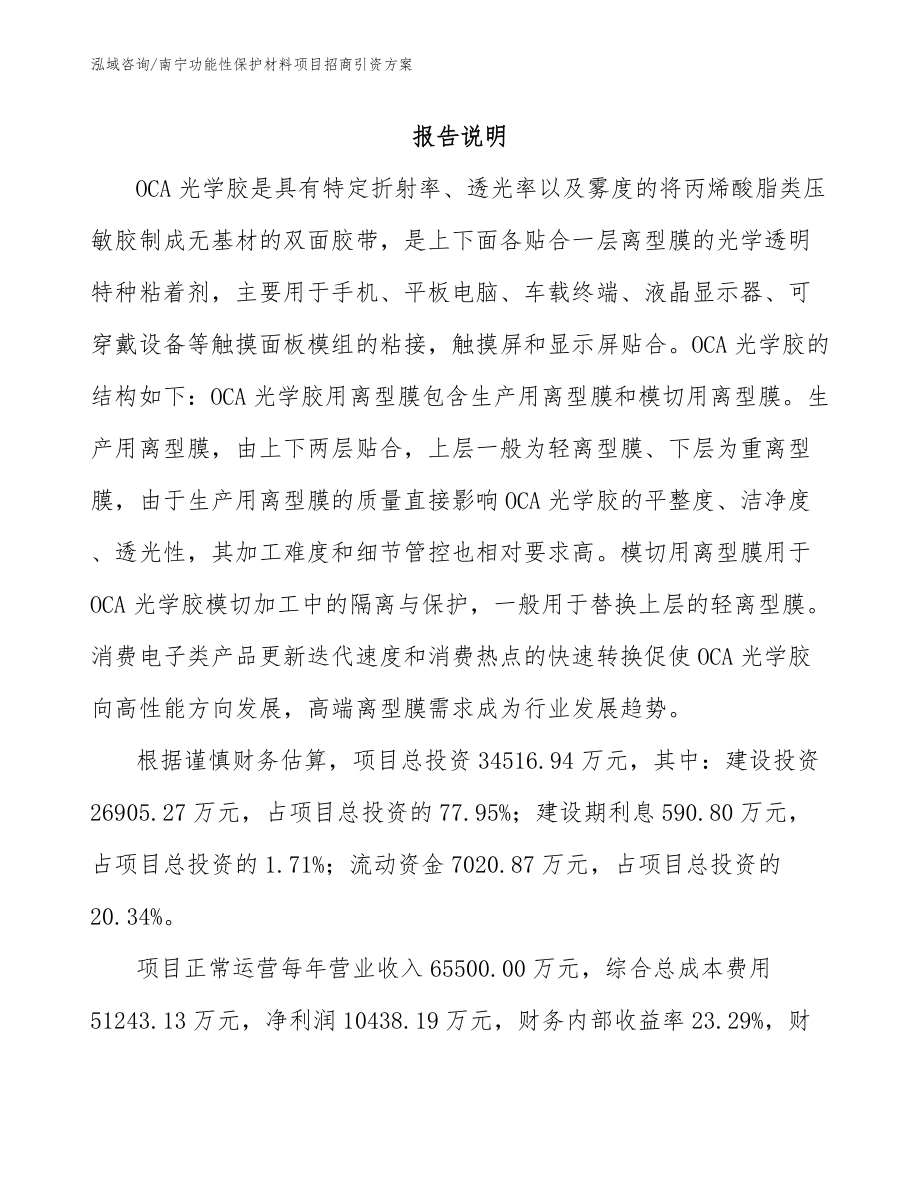 南宁功能性保护材料项目招商引资方案【参考模板】_第1页