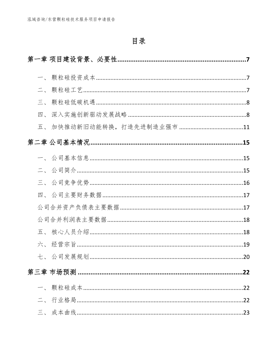 东营颗粒硅技术服务项目申请报告（范文模板）_第1页