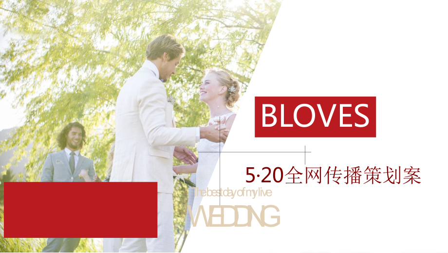 珠宝品牌BLOVES·520情人节-线上传播策略方案_第1页
