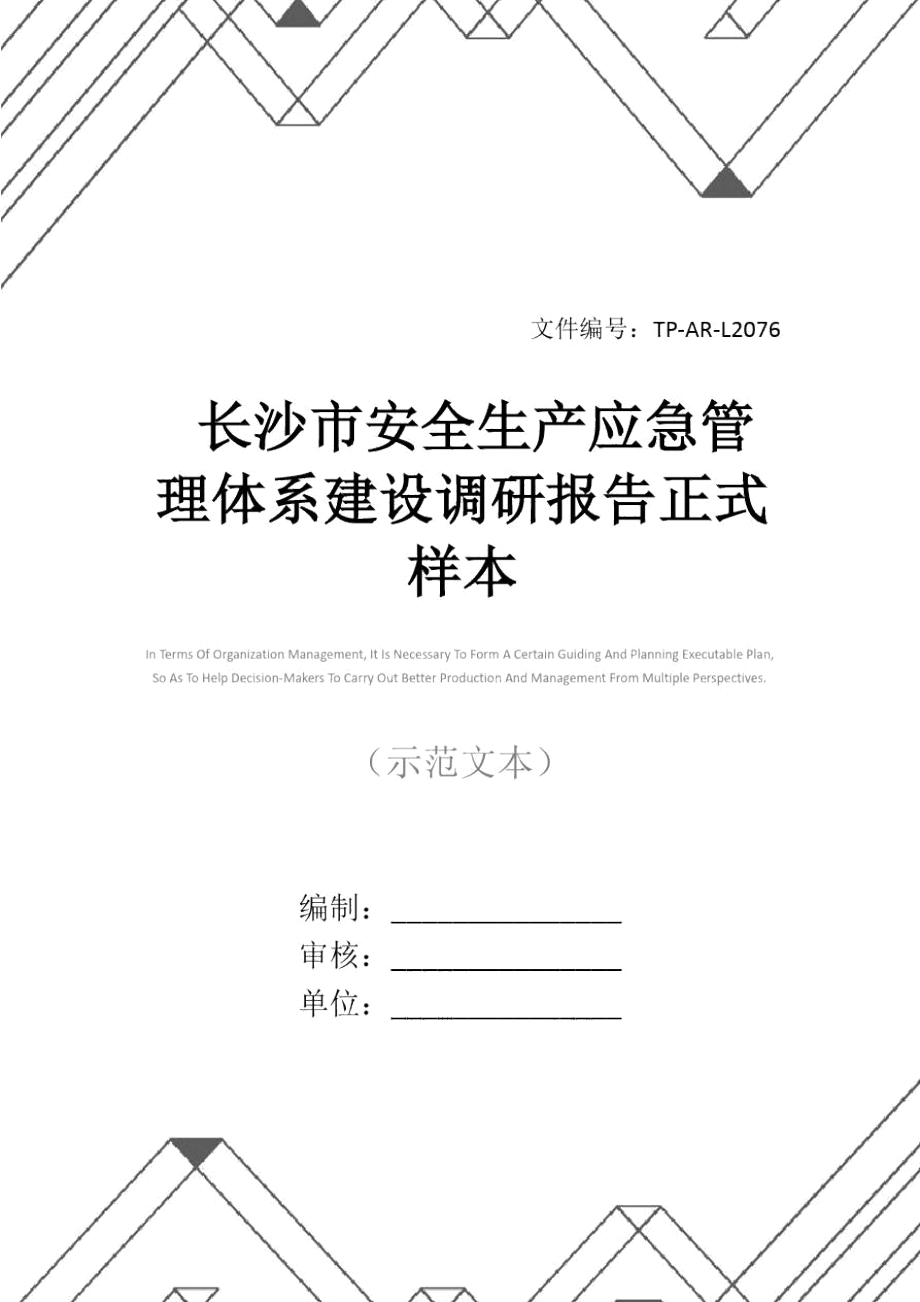 长沙市安全生产应急管理体系建设调研报告正式样本_第1页