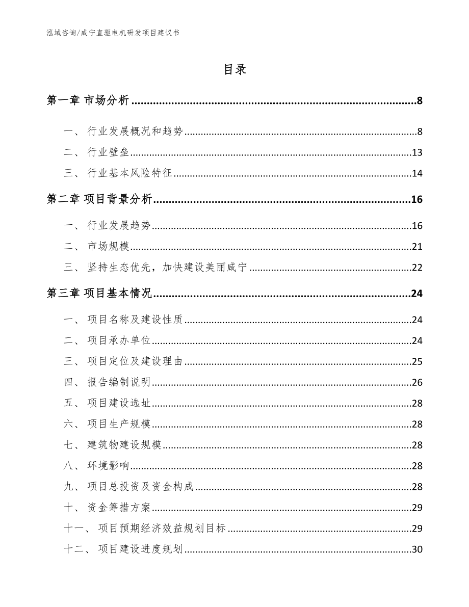 咸宁直驱电机研发项目建议书【参考范文】_第1页
