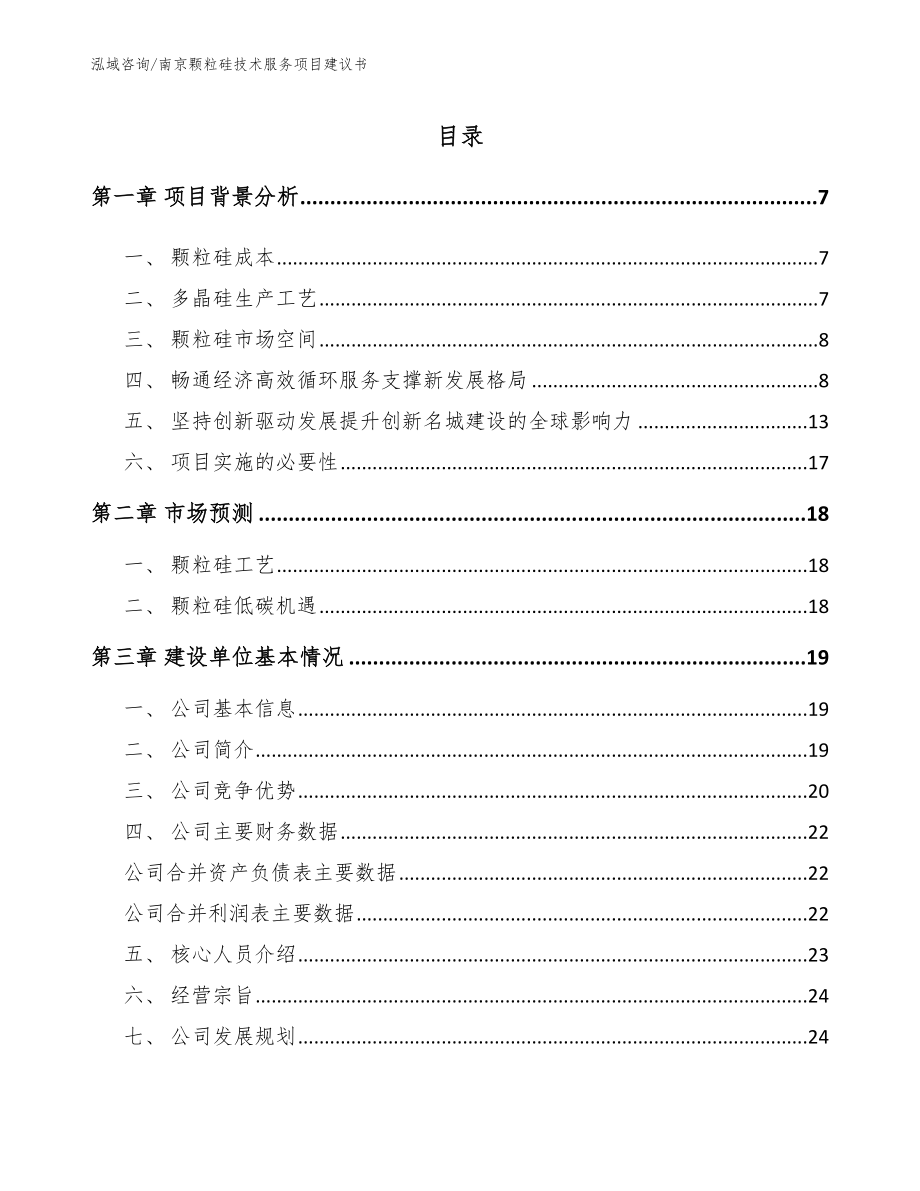 南京颗粒硅技术服务项目建议书_模板参考_第1页