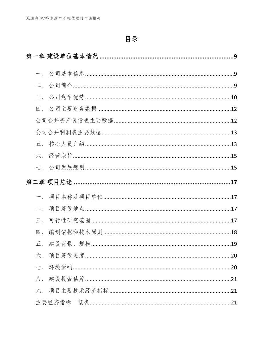 哈尔滨电子气体项目申请报告_模板范文_第1页