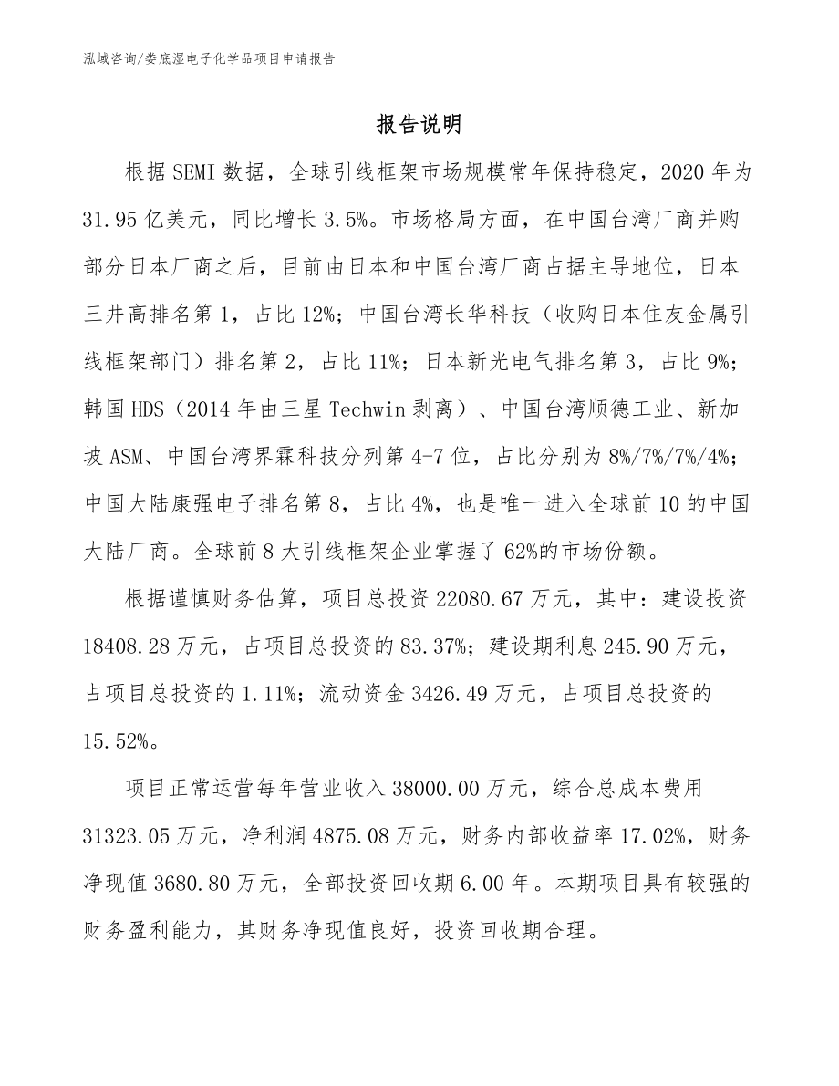 娄底湿电子化学品项目申请报告（模板）_第1页
