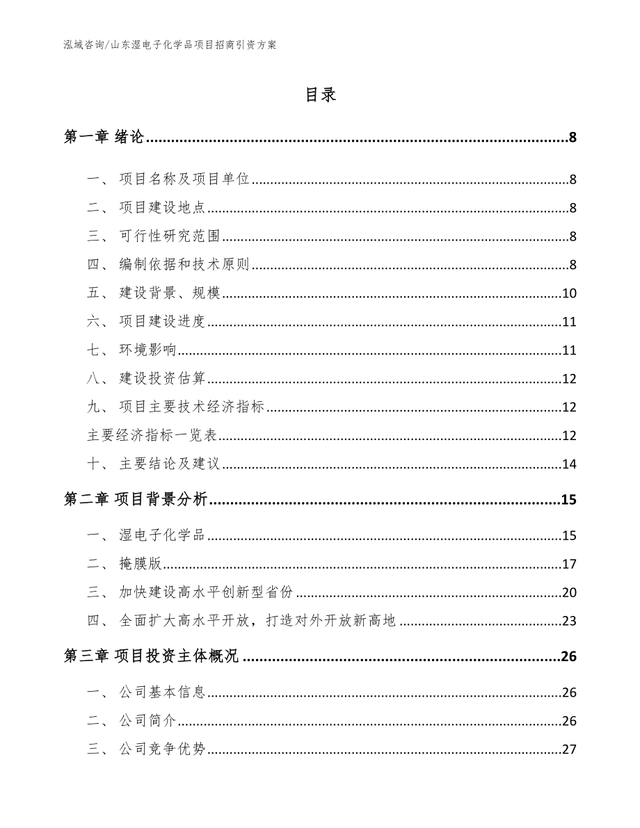 山东湿电子化学品项目招商引资方案（参考模板）_第1页
