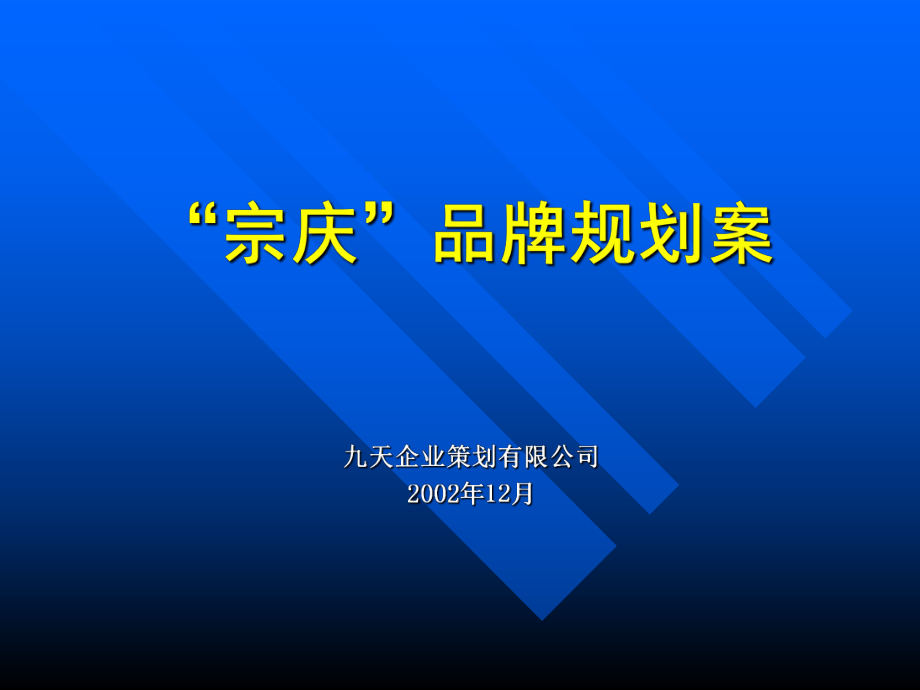 某品牌规划方案ccsp_第1页