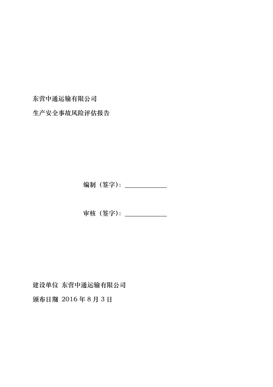 中通安全风险评估报告_第1页
