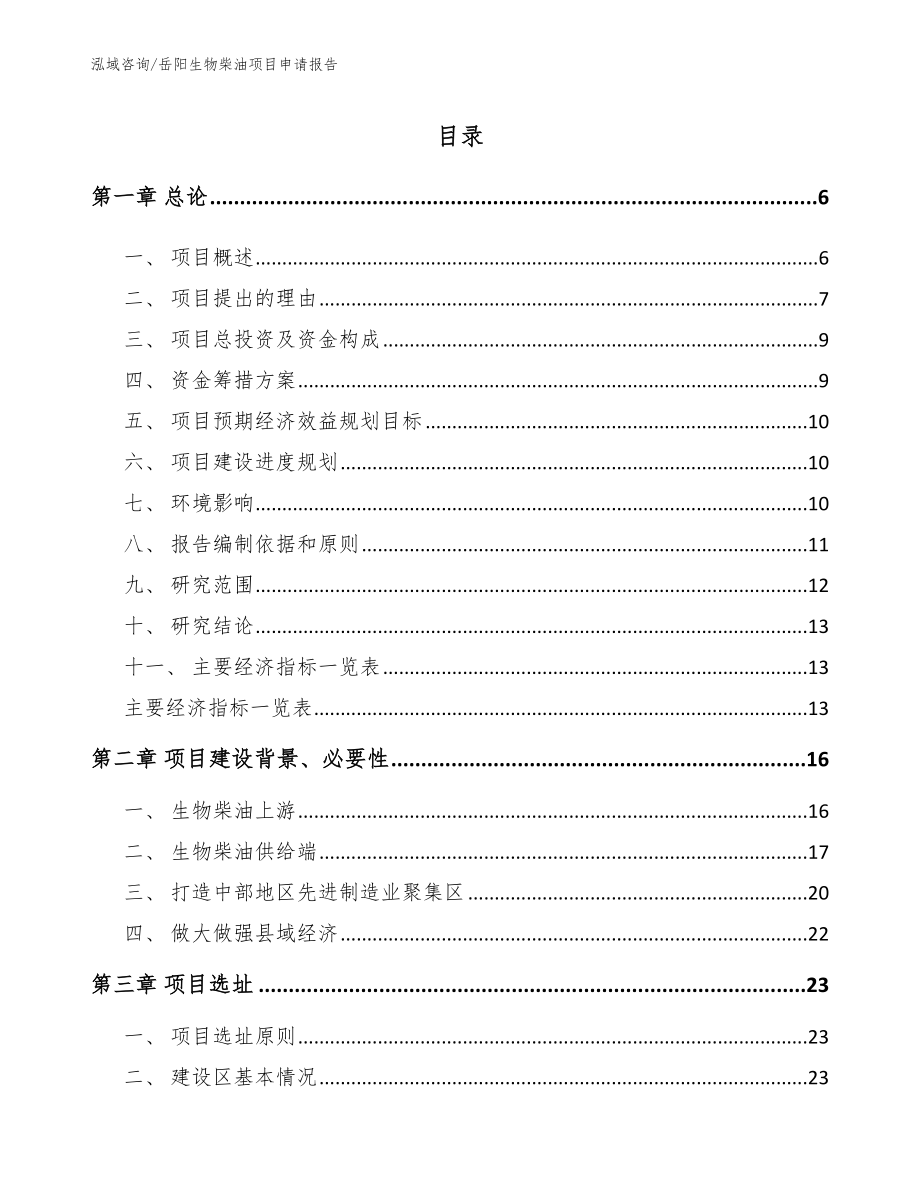岳阳生物柴油项目申请报告（模板范文）_第1页