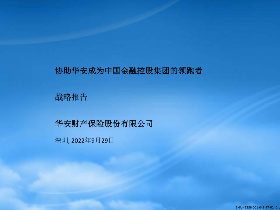 某咨询战略咨询项目报告(华安财险)ckxi_第1页