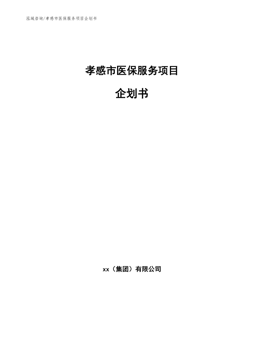 孝感市医保服务项目企划书（范文模板）_第1页