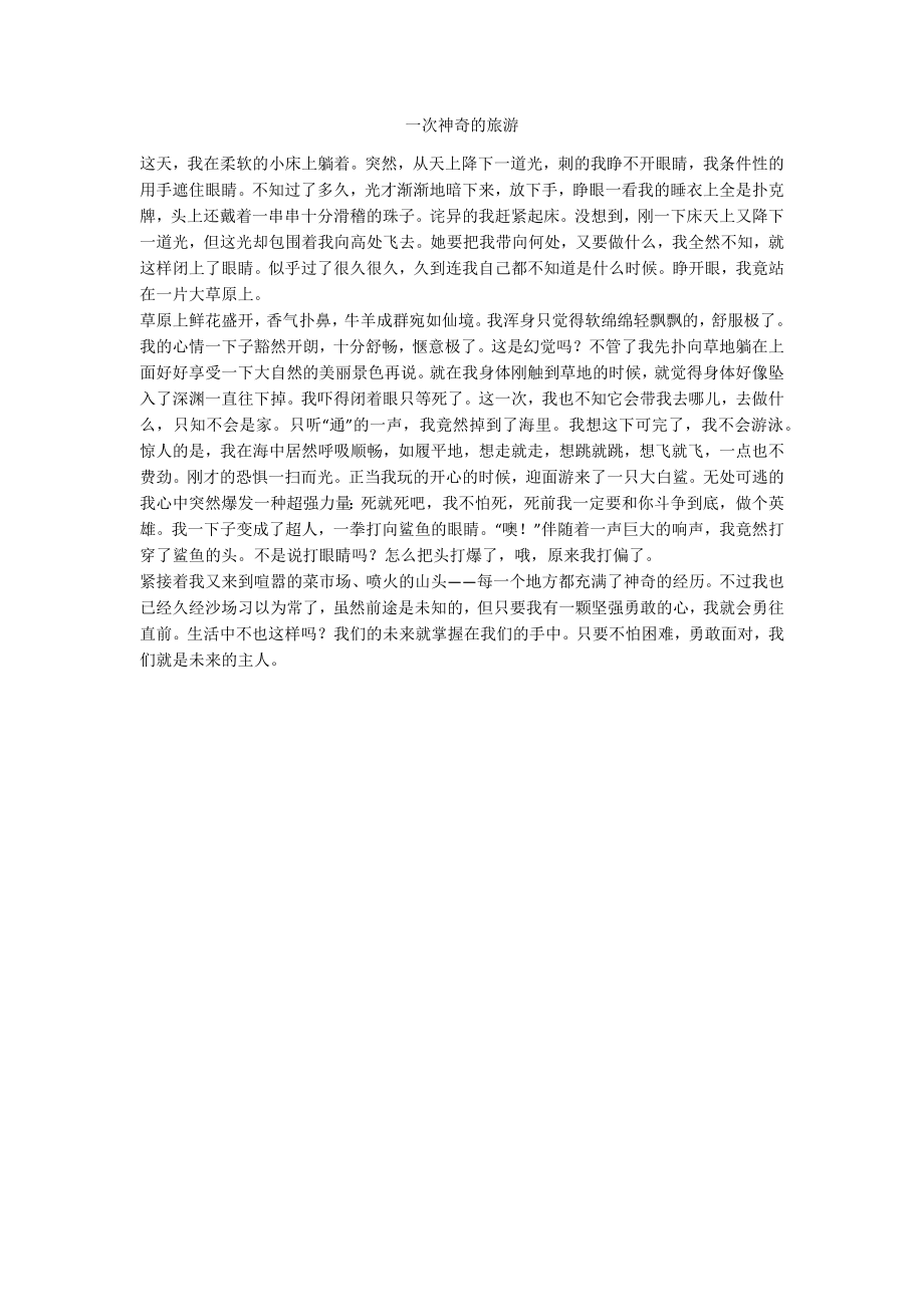 一次神奇的旅游_第1页