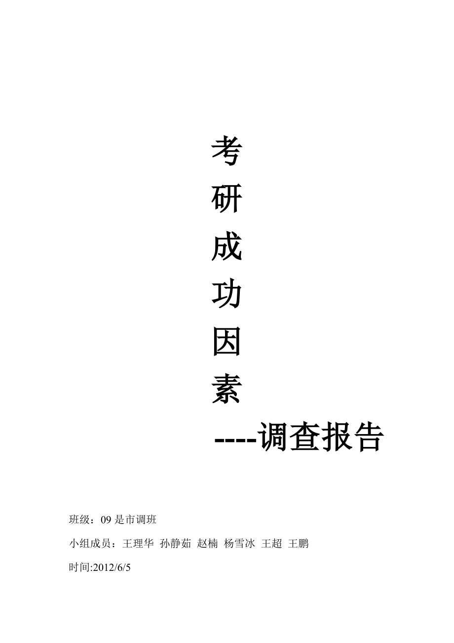 成功因素调查报告_第1页