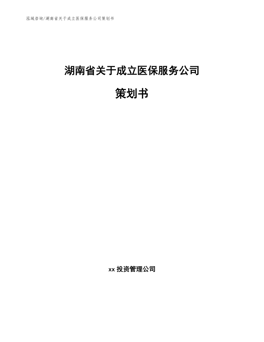 湖南省关于成立医保服务公司策划书模板范文_第1页