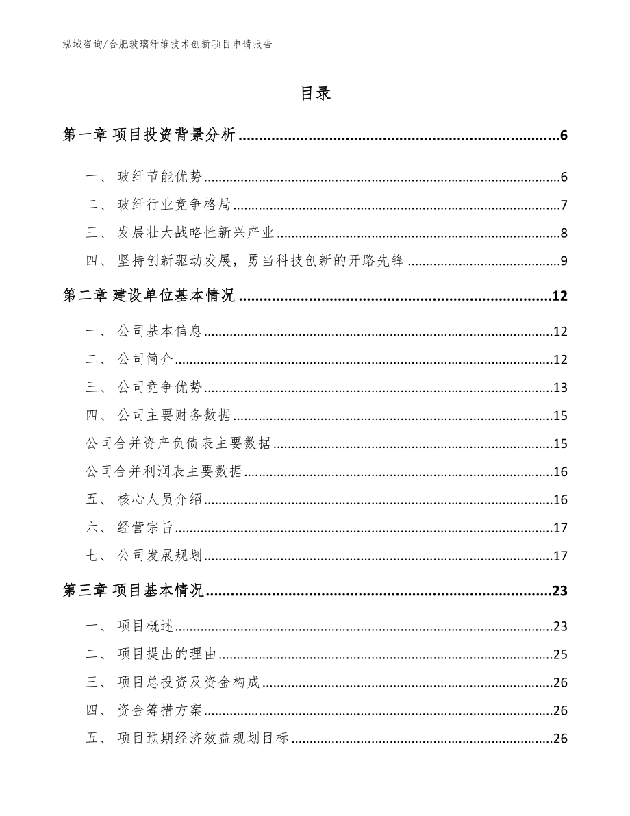 合肥玻璃纤维技术创新项目申请报告_第1页