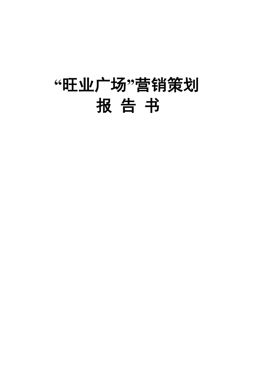 深圳旺业广场营销策划_第1页