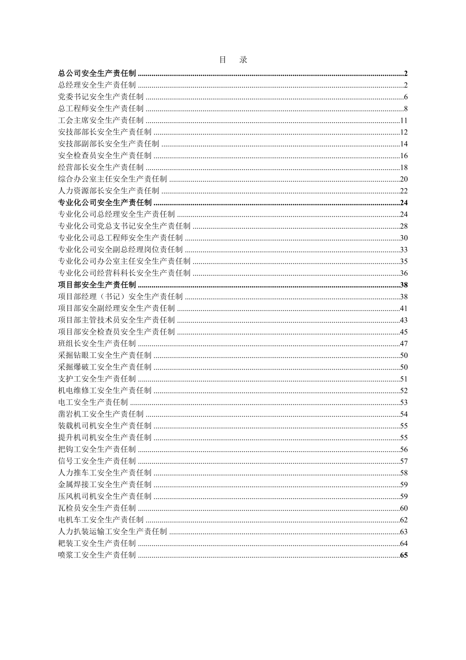煤矿安全生产责任制 (通用参考范本)_第1页
