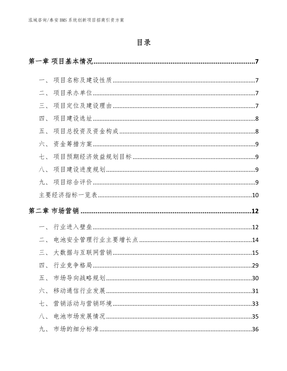 泰安BMS系统创新项目招商引资方案参考范文_第1页