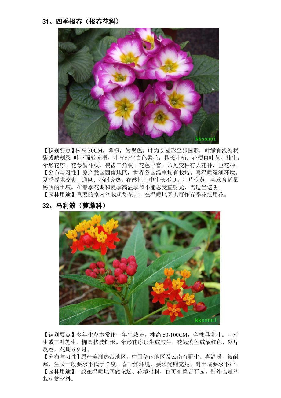 一二年生草本花卉(31-60)_第1页