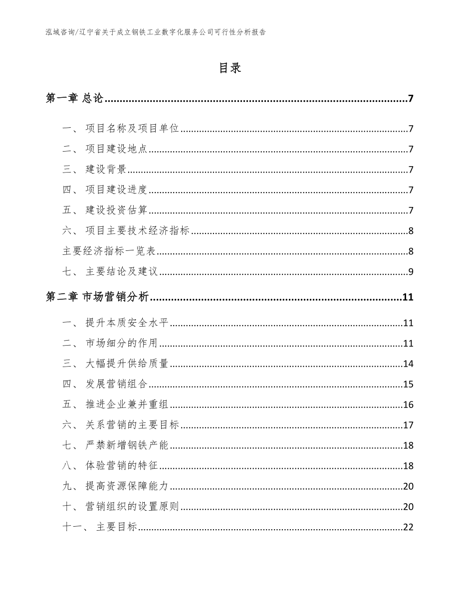 辽宁省关于成立钢铁工业数字化服务公司可行性分析报告参考范文_第1页