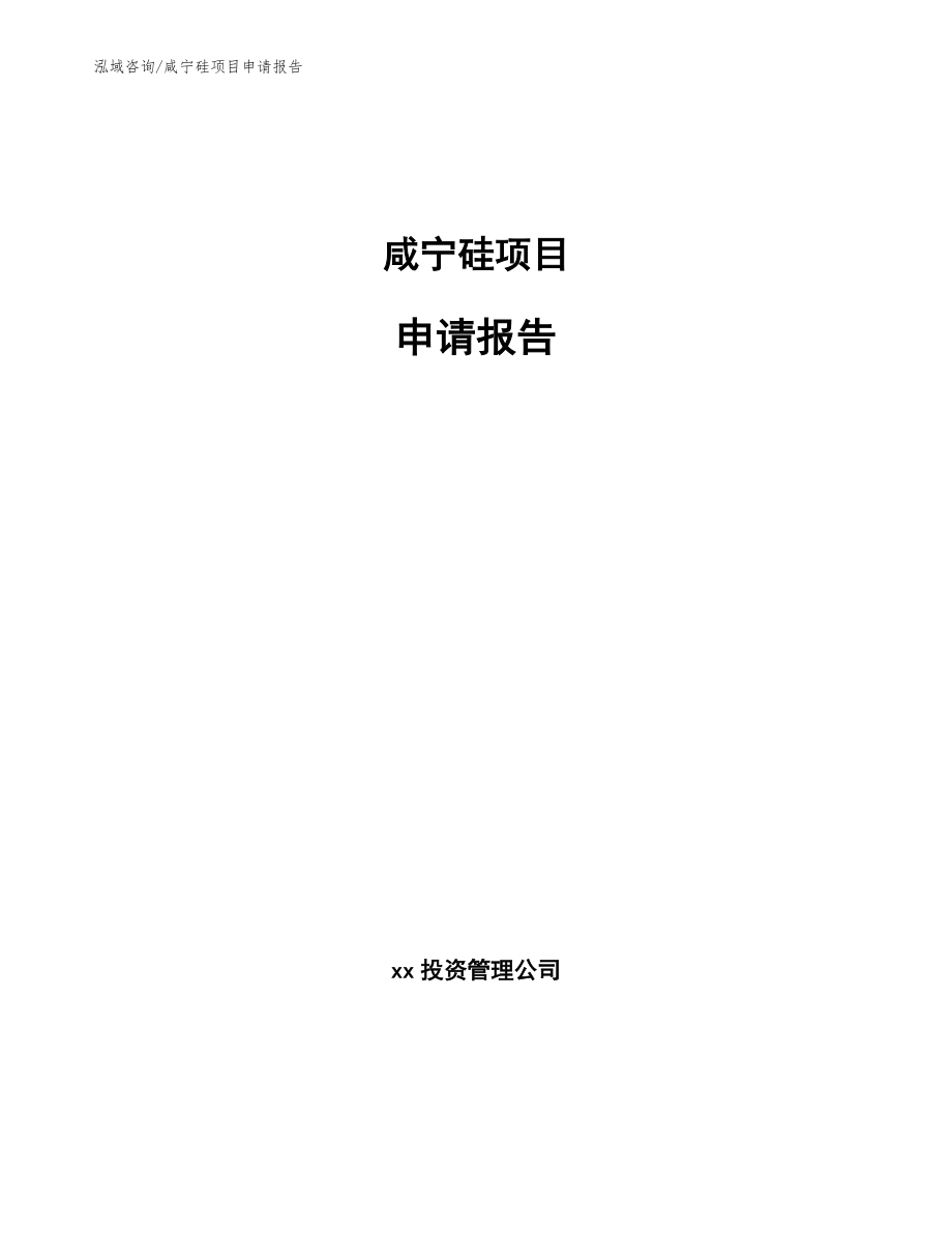 咸宁硅项目申请报告（范文参考）_第1页