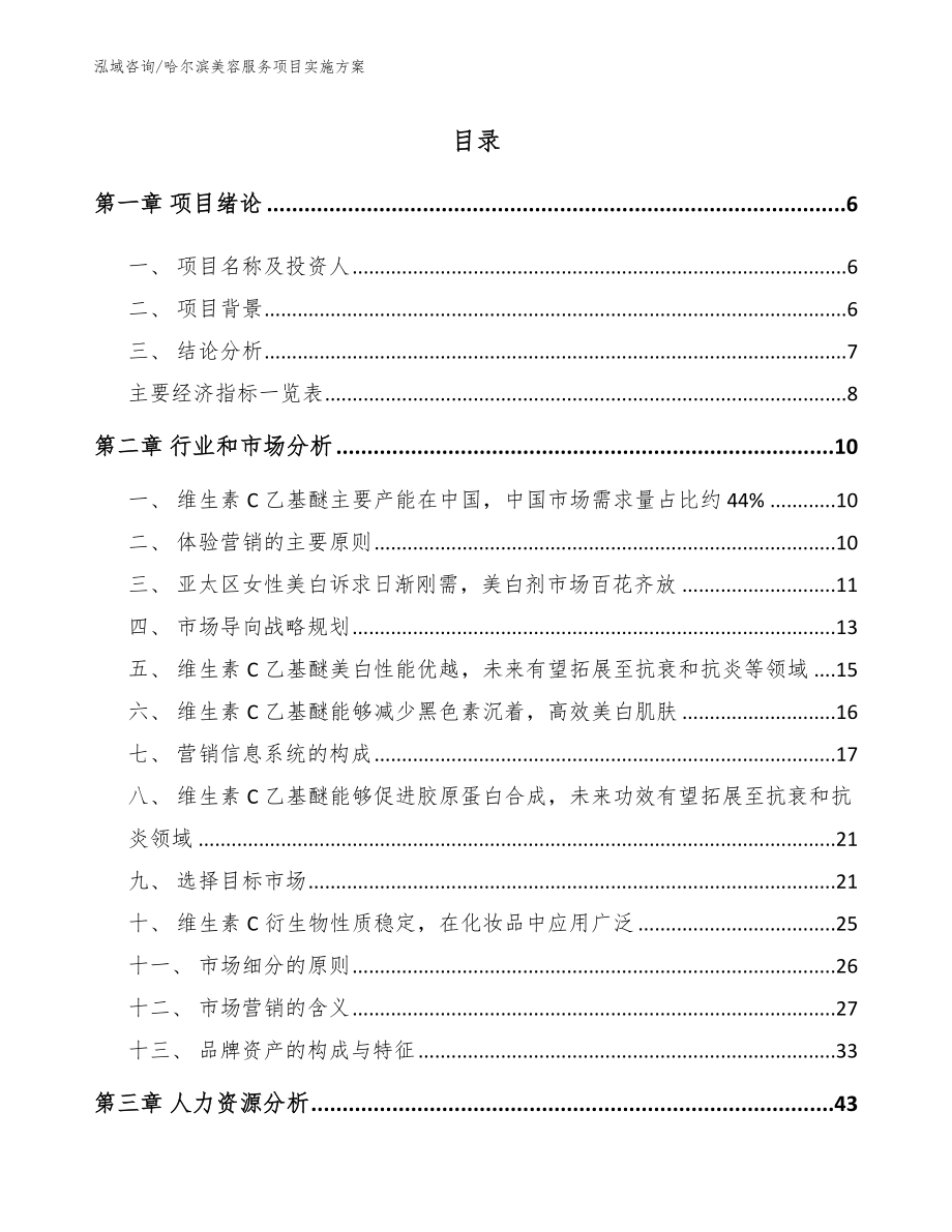 哈尔滨美容服务项目实施方案参考模板_第1页
