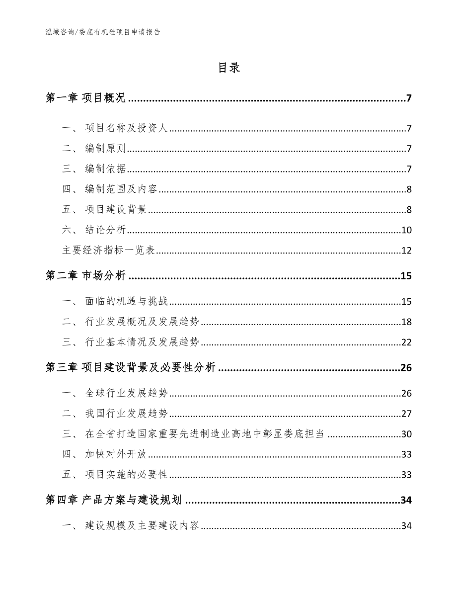 娄底有机硅项目申请报告（范文模板）_第1页