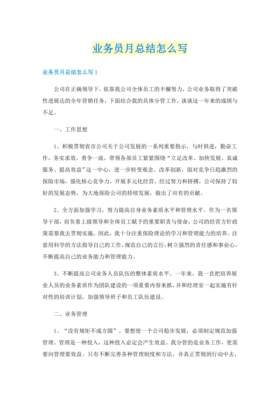 业务员月总结怎么写_第1页