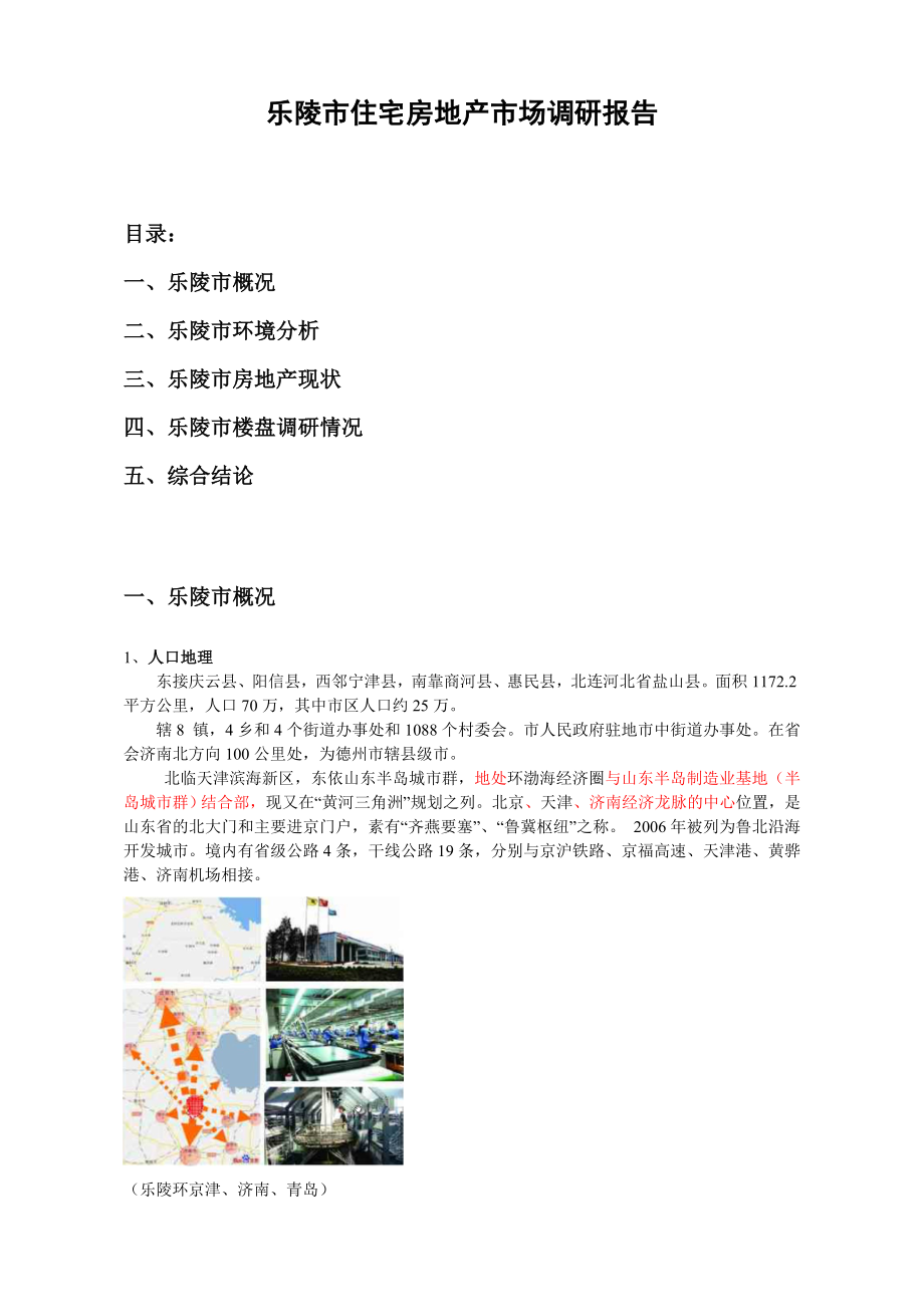乐陵市房地产市场调研报告_第1页