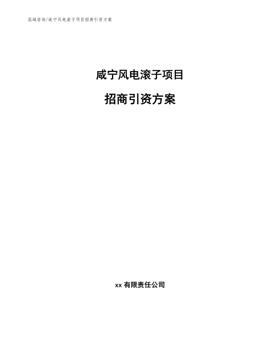 咸宁风电滚子项目招商引资方案【模板参考】_第1页
