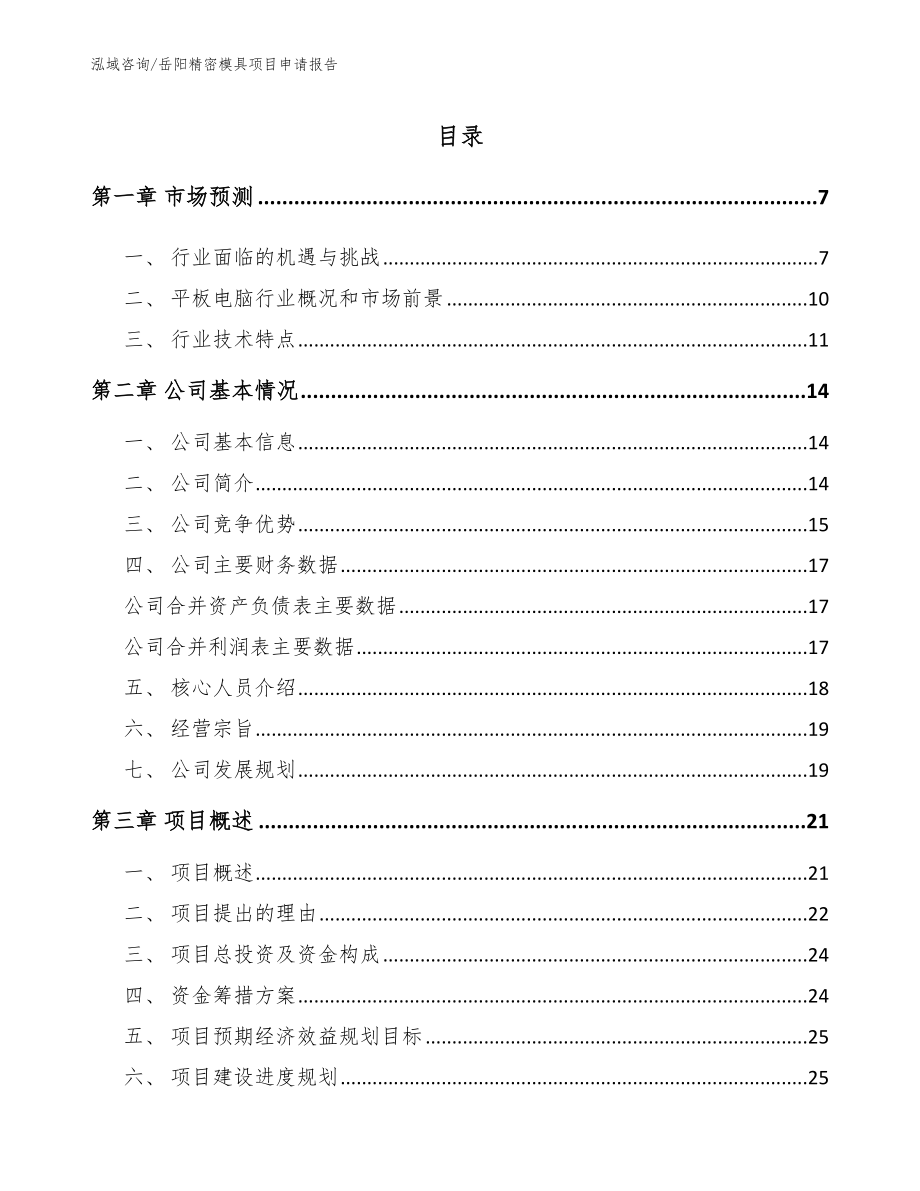岳阳精密模具项目申请报告范文_第1页