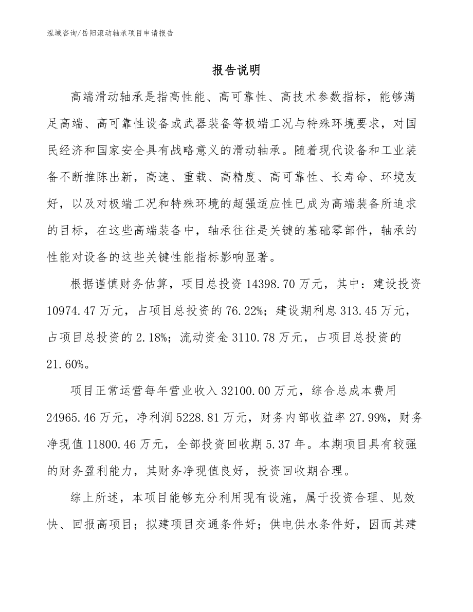 岳阳滚动轴承项目申请报告_第1页