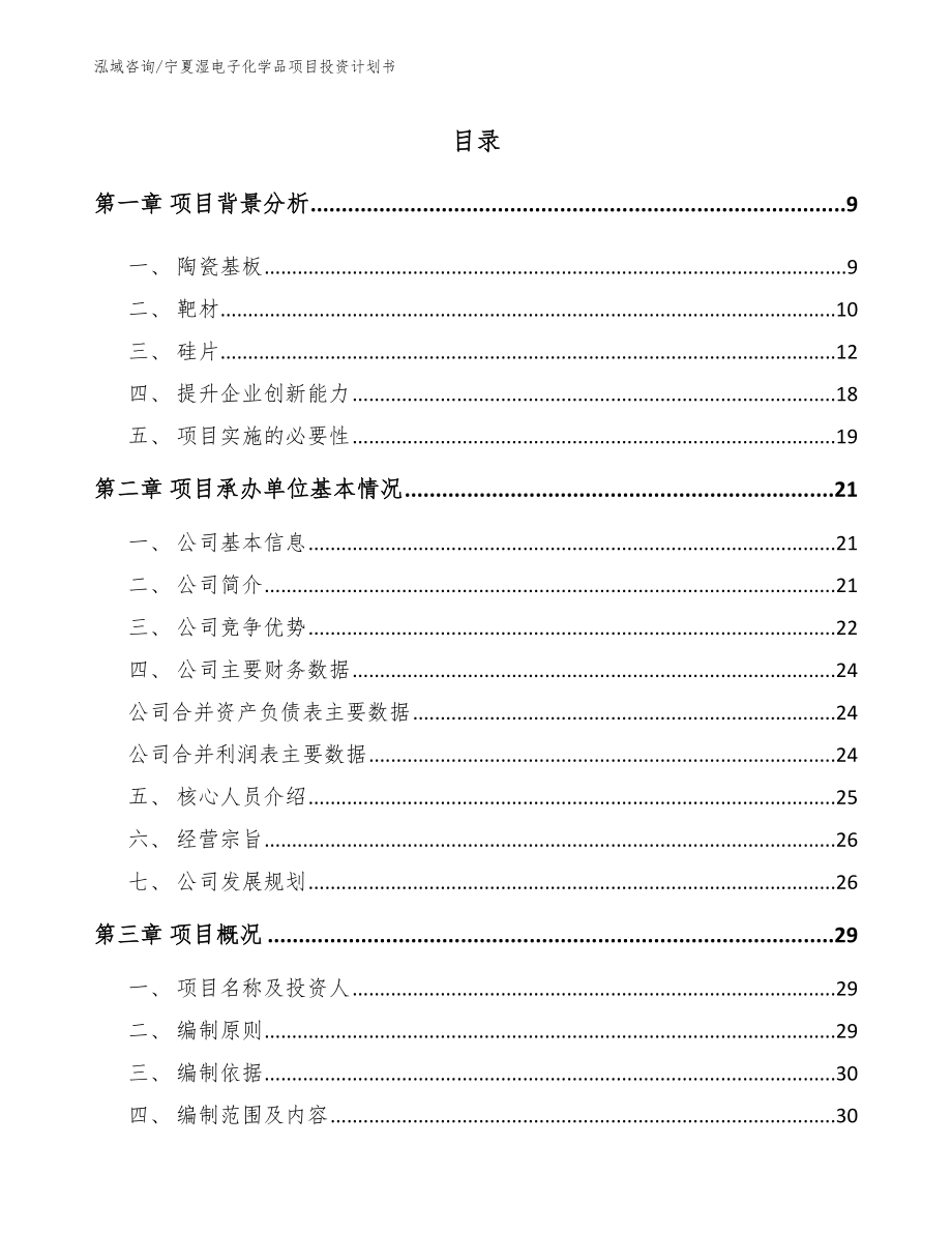 宁夏湿电子化学品项目投资计划书_模板范本_第1页