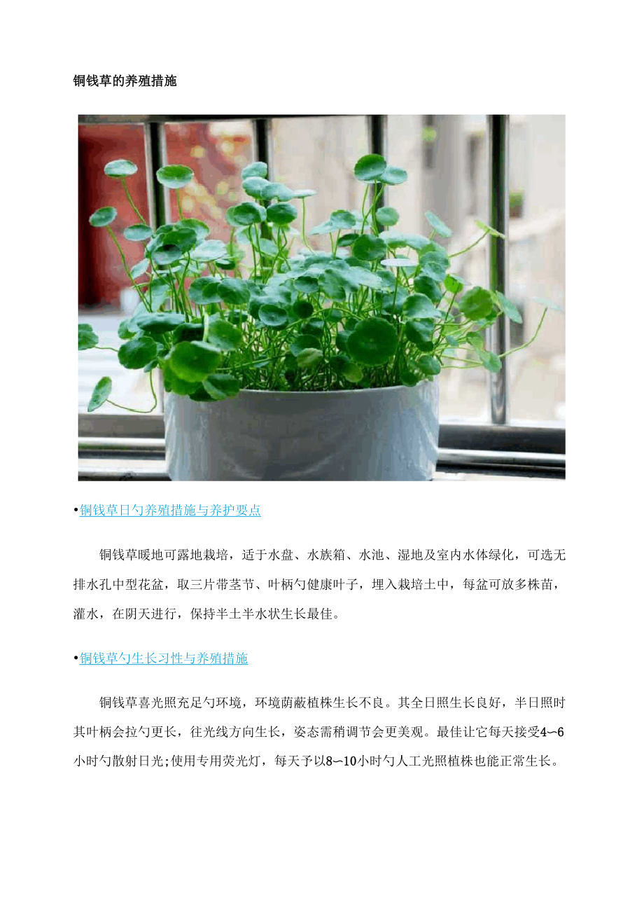 铜钱草的养殖方法和注意关键事项_第1页