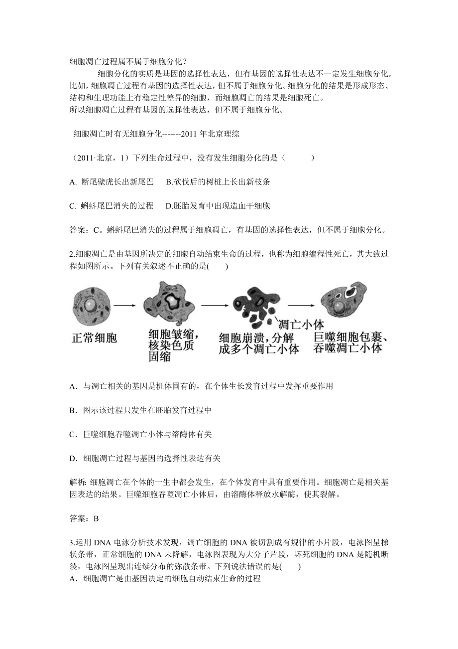 细胞分化与细胞凋亡_第1页