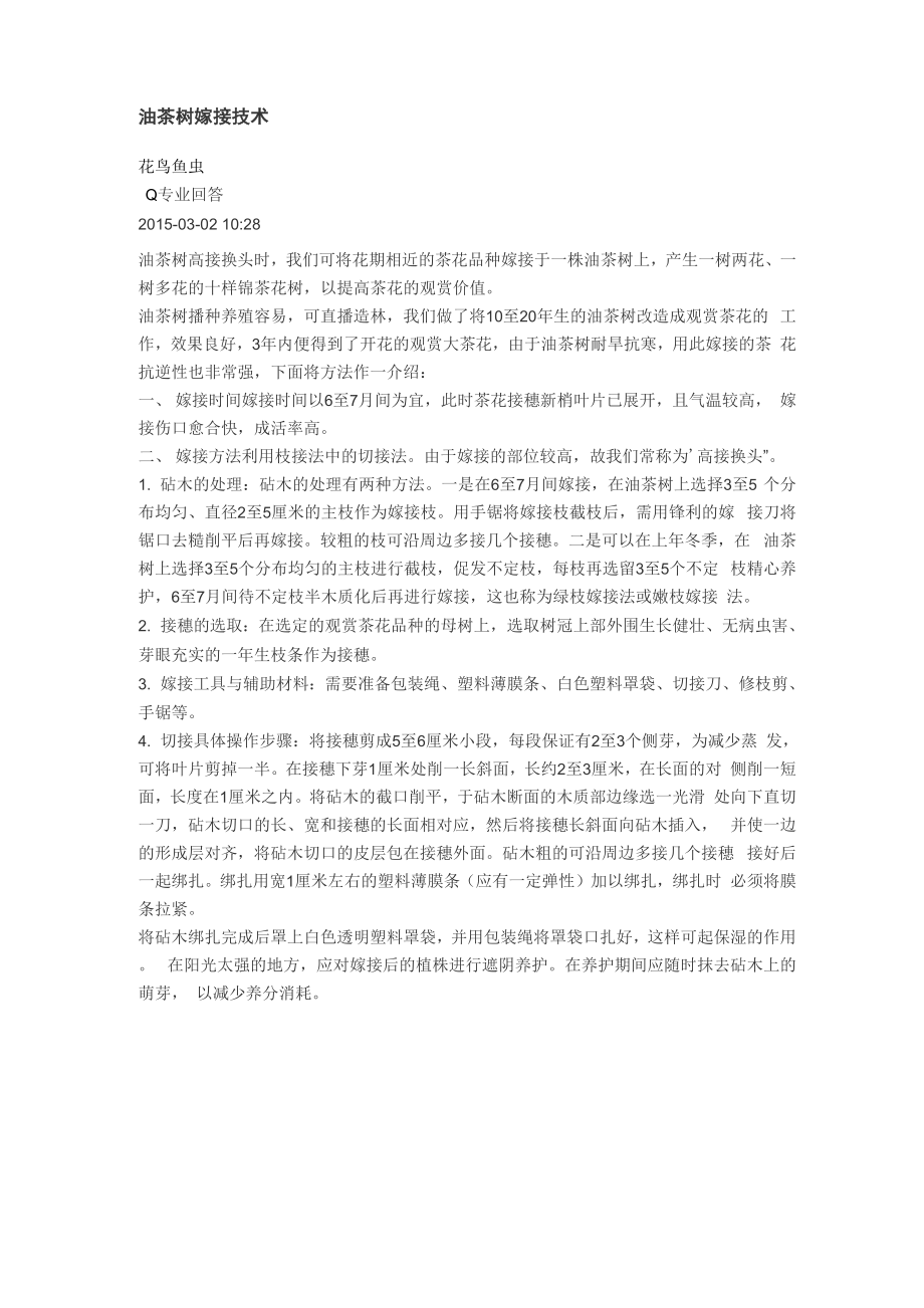 油茶树嫁接技1_第1页