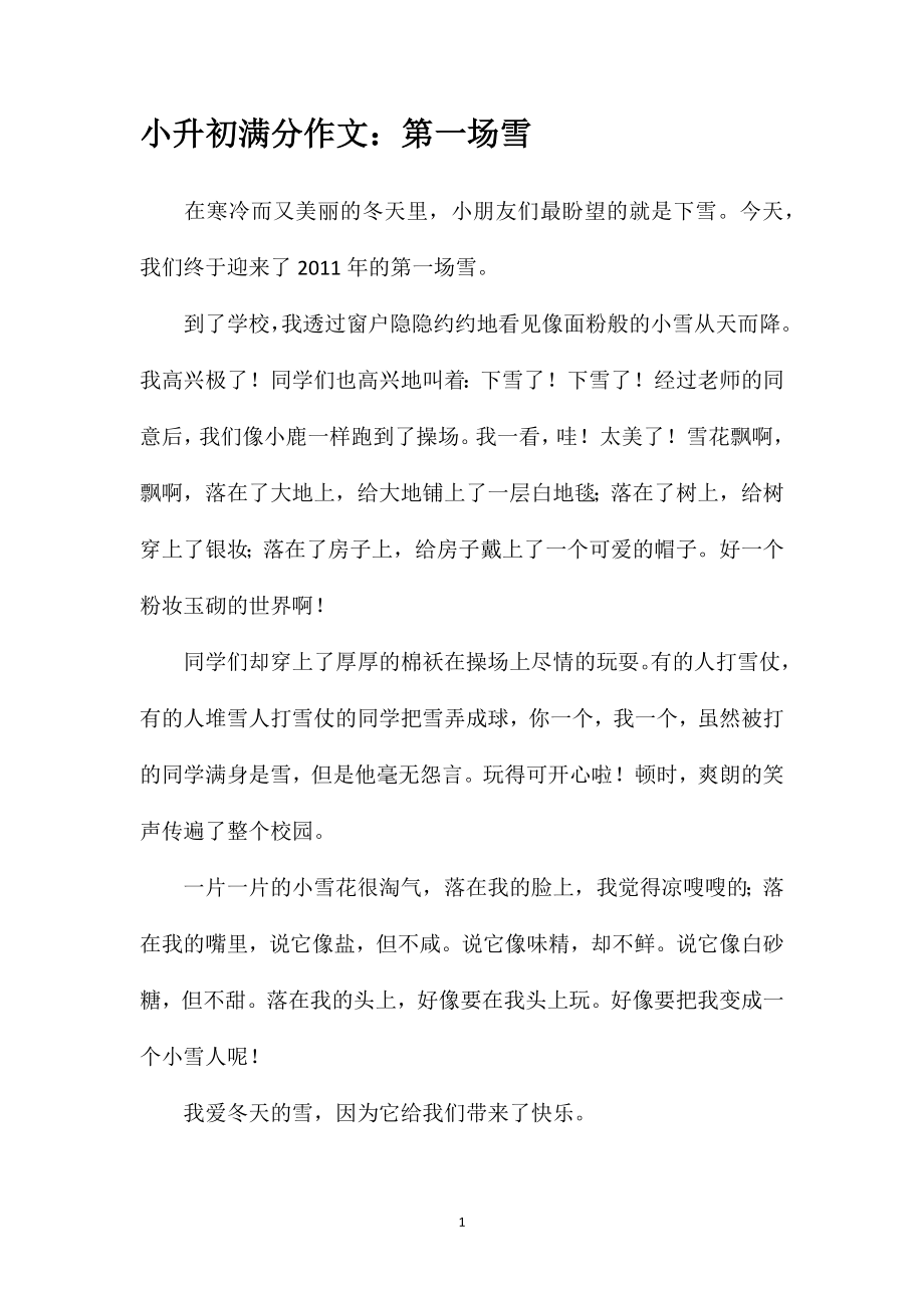 小升初满分作文：第一场雪_第1页