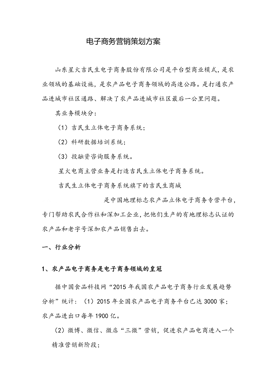电子商务营销策划方案_第1页