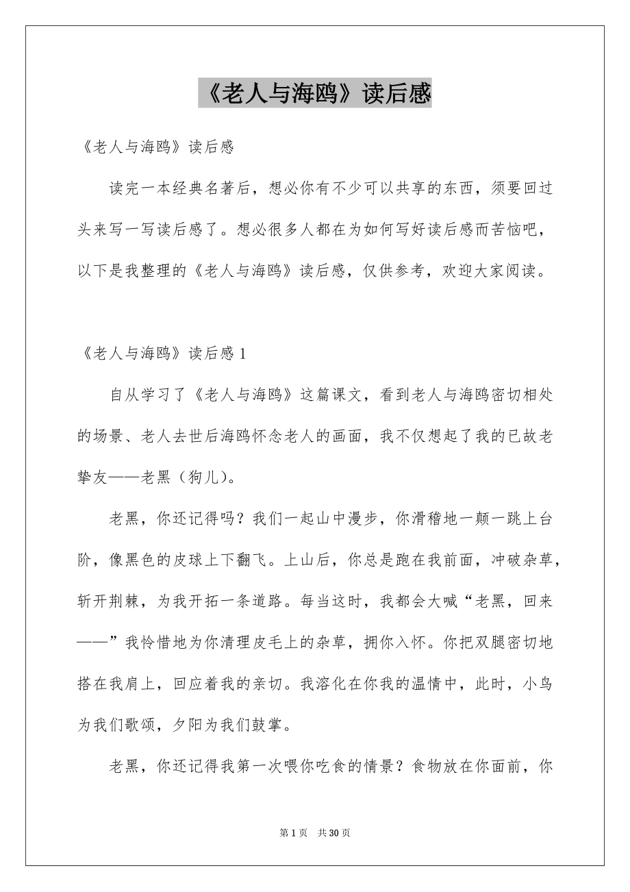 《老人与海鸥》读后感_6_第1页