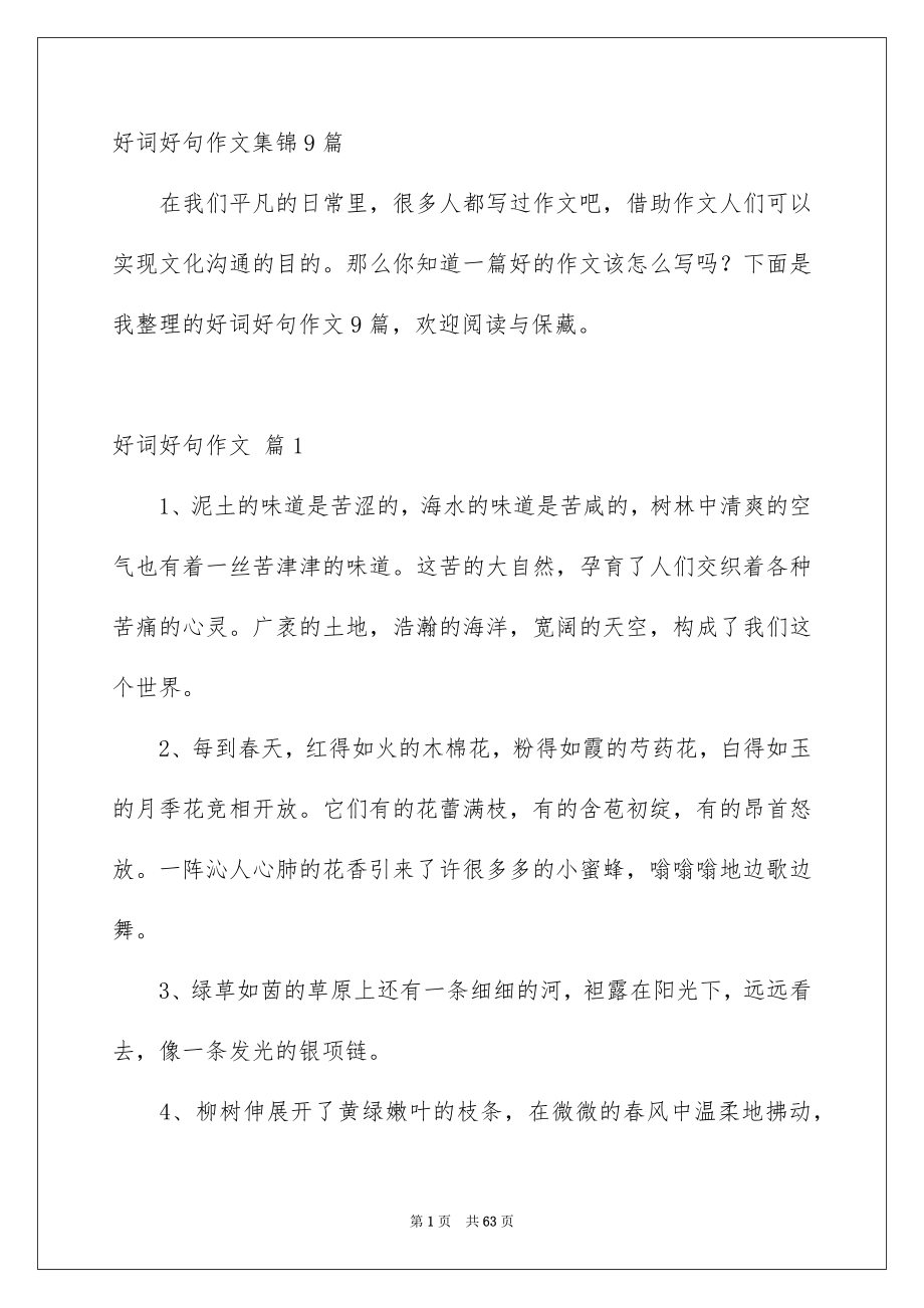好词好句作文集锦9篇_第1页