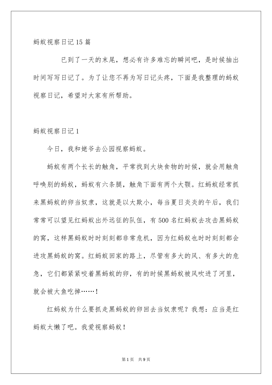 蚂蚁观察日记_第1页